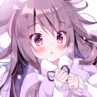 游客花钱雇轿夫抬狗逛峡谷